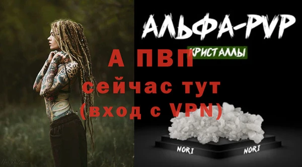 спайс Приозерск