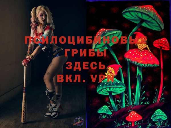 2c-b Балахна